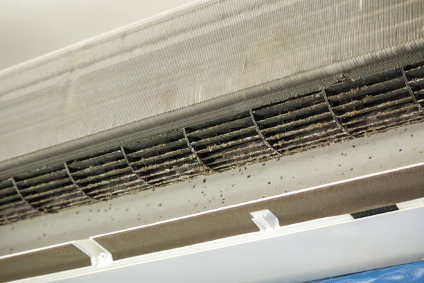 Best Home Air Vent Cleaning  in Brownsville, LA